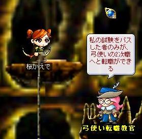 80_1.jpg